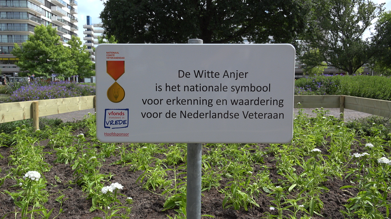 De Witte Anjer – TV Loosduinen